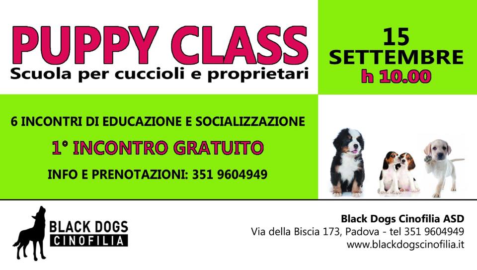 puppy class
