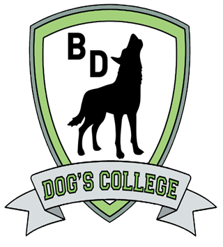 dog's college